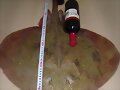 raya pescada en la concha de artedo 7,4,09