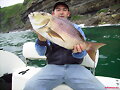 Denton de 2,7 kilos