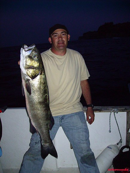 buena loba pescada el 30,7,2009