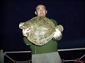 rodaballo