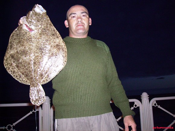 Buscando lubinas encontre este buen rodaballo.