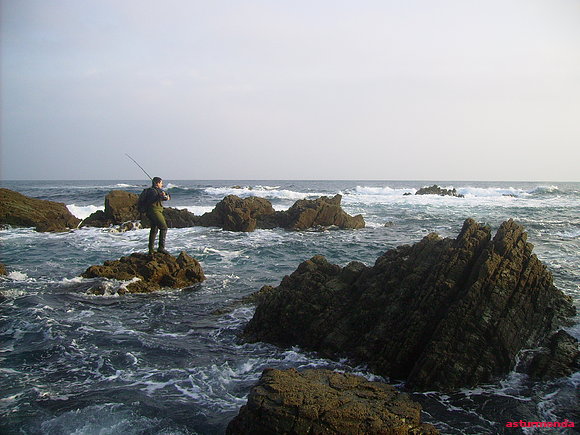 david buscando lubinas