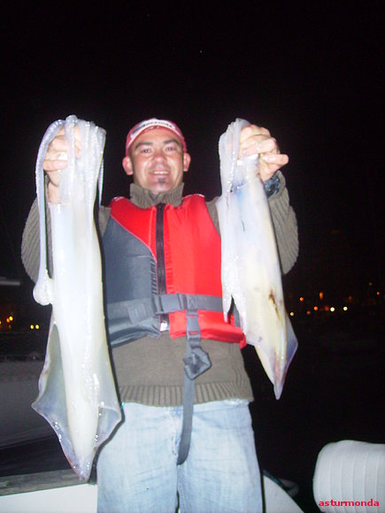 calamares xxl