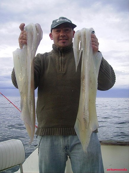 buenos calamares