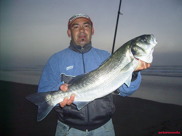 lubina 21,8,2011 salinas