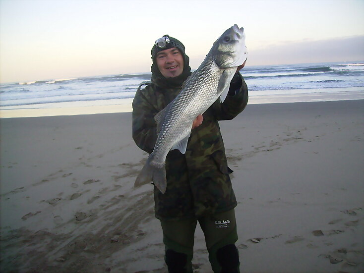 robalo pescado en salinas con sardina,21,10,2011