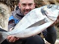 BUENA DORADA