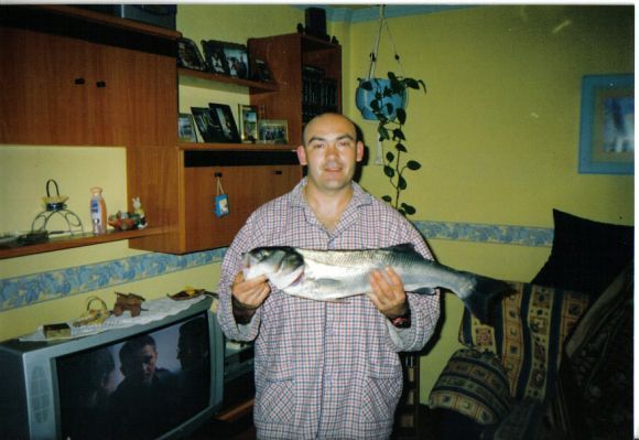 lubina sacada en san juan de nieba (asturias)