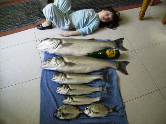 buena foto de la pescata de salinas