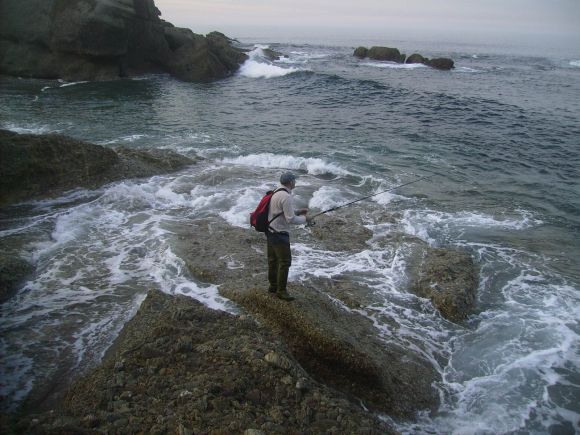 caceano en la playa de estaño