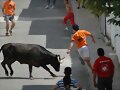 Encierros de Santa Elena