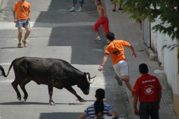 Encierros de Santa Elena