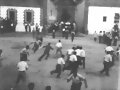 Toros en Santa Elena