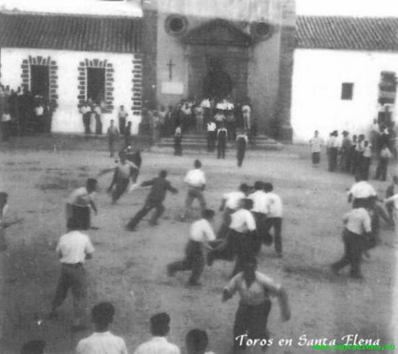 Toros en Santa Elena