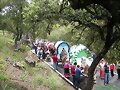 Romer&iacute;a de San Isidro