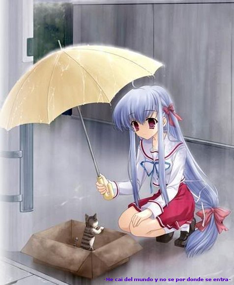 Rescatando a un Gatito!