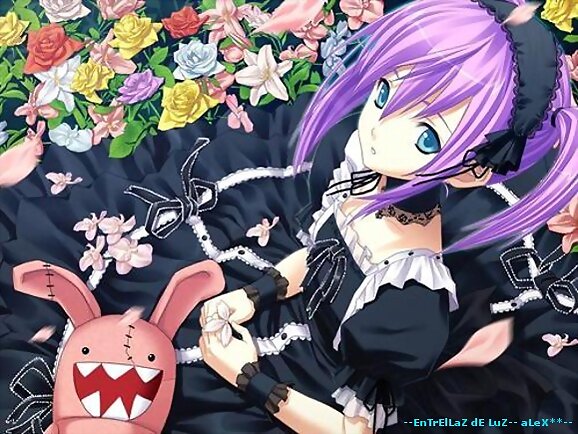 Entre Flores