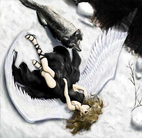 -Angel y Lobo-