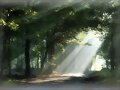 Paisaje
