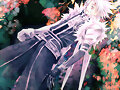 Allen