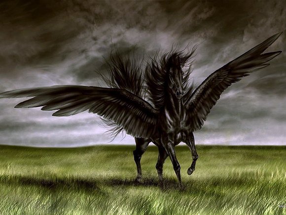 Pegaso