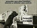 No los maltrates