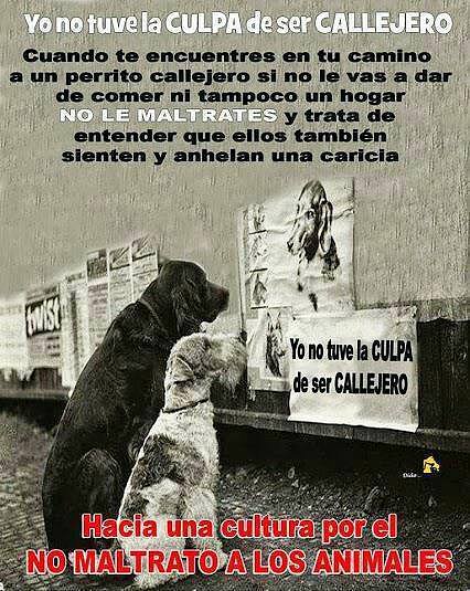 No los maltrates