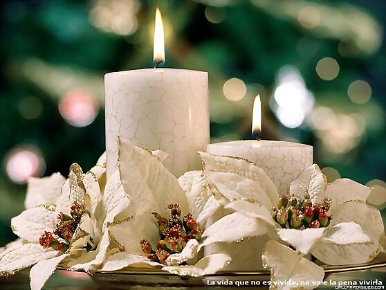 ES TIEMPO DE NAVIDAD.