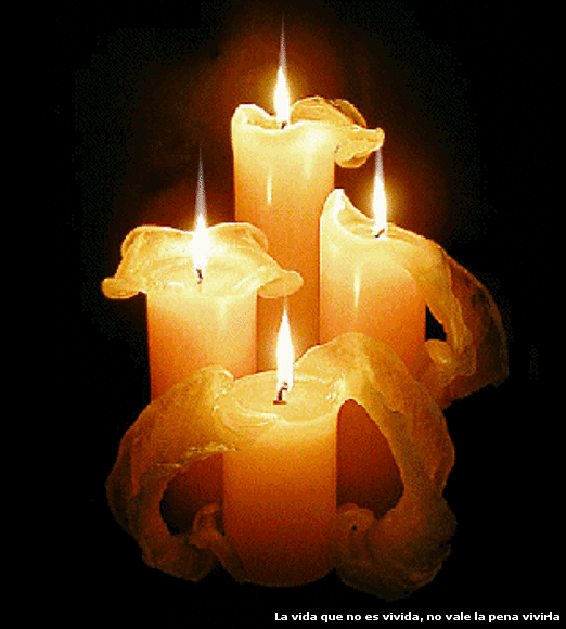 COMPARTIENDO LA LUZ