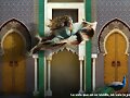 Las cuatro funciones b&aacute;sicas