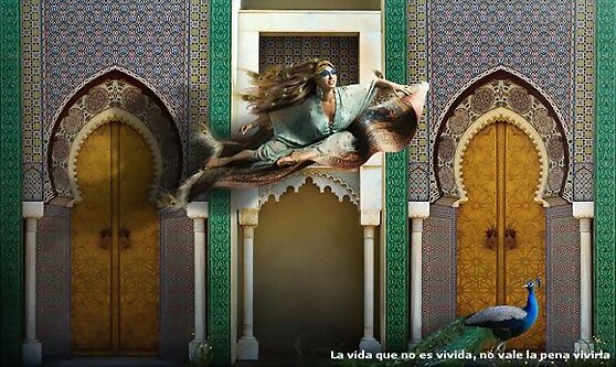 Las cuatro funciones básicas