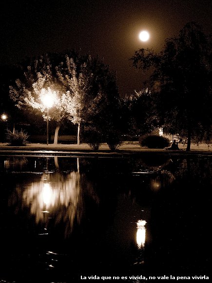 Noche de Luna Llena