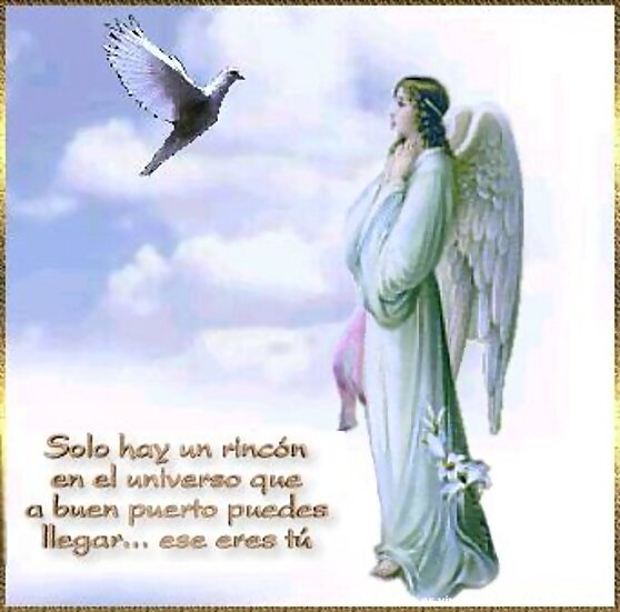 ¿Negamos nuestras emociones?