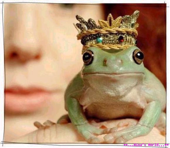*Green Prince*