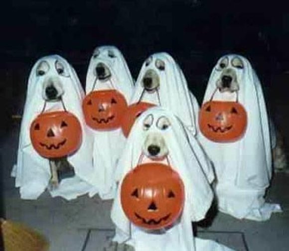 HAPPY HALLOWEEN!!!!!!!!!!!!!!