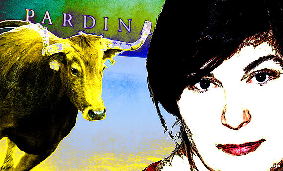 VAQUILLAS 2008 II