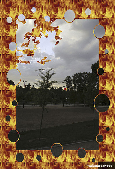 ARDOR