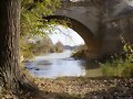 BAJO EL PUENTE