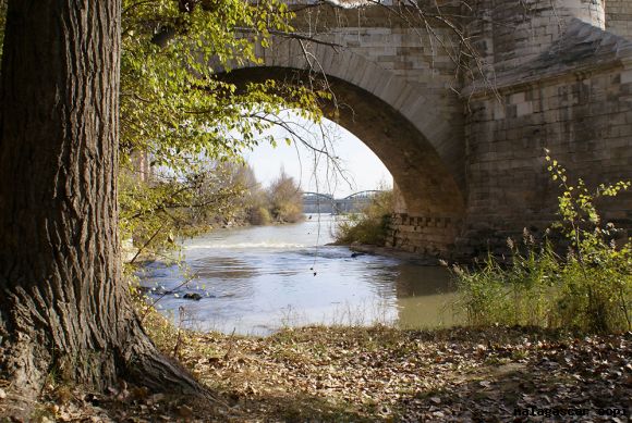 BAJO EL PUENTE