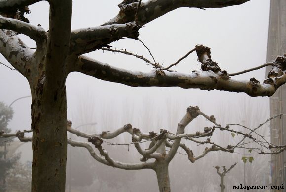 INVIERNO