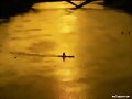 RIO DE ORO
