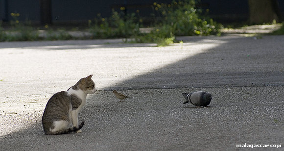 IMAGEN CURIOSA