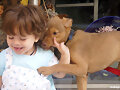 BICHITO  jugando con su perrita