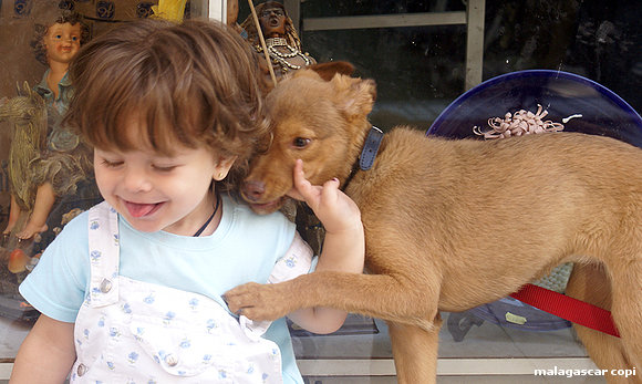 BICHITO  jugando con su perrita