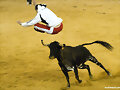 VAQUILLAS 2008