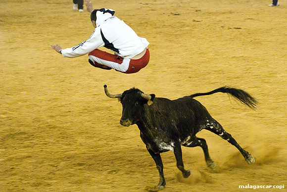VAQUILLAS 2008