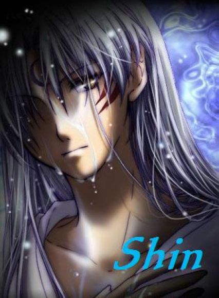 Una gran foto de sesshomaru