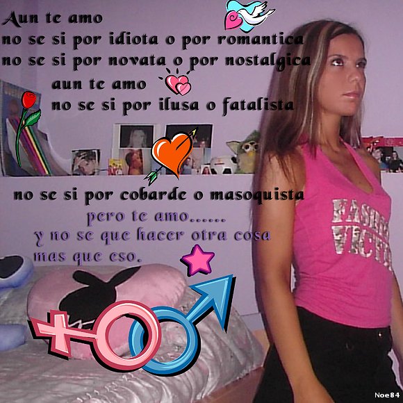 no se xq