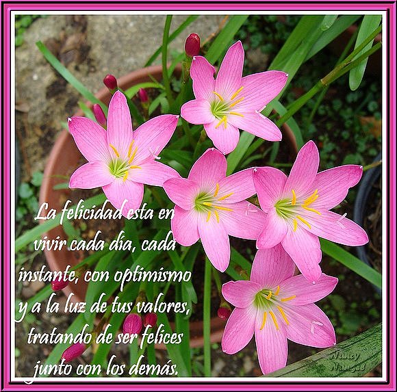 ser feliz