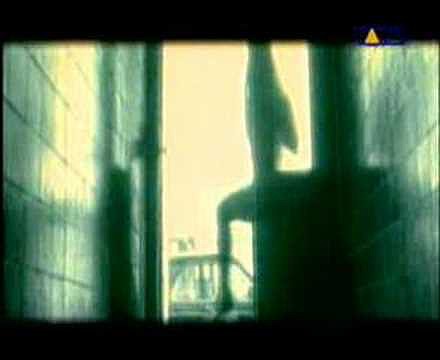 DIE TOTEN HOSEN - ALLES AUS LIEBE